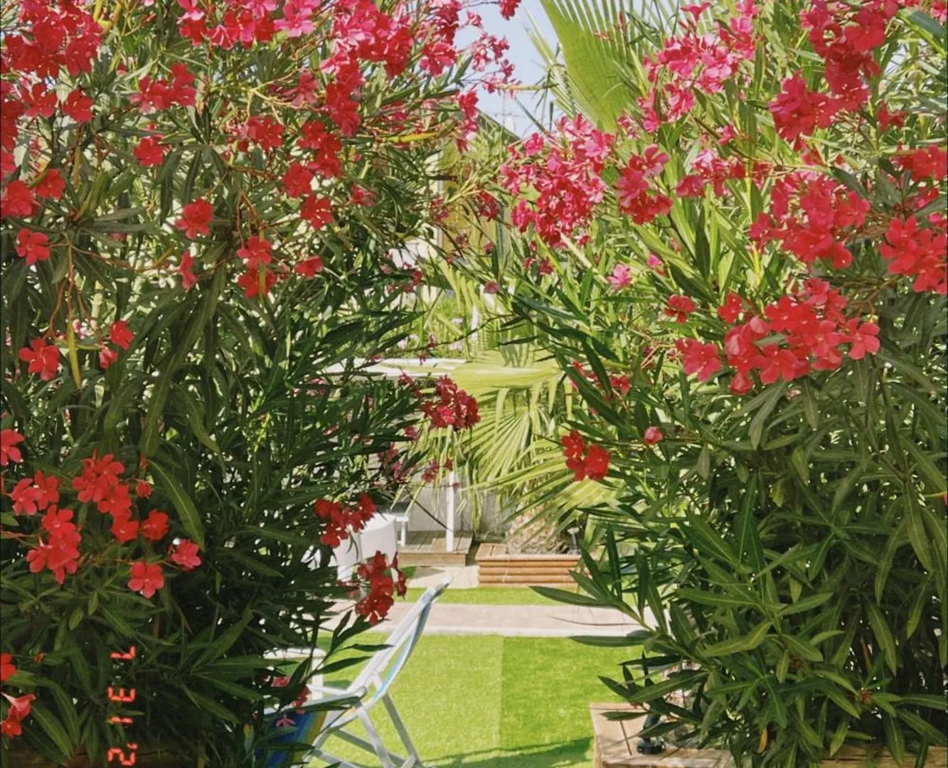 Le Palme Holidays Palmadula